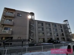 KAYA SUMI TOPIAの画像