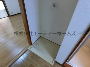 ワンステップ梅の木のその他画像