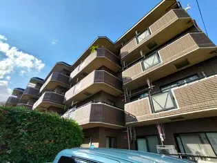 サン アローの画像