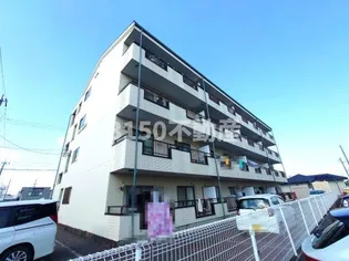 メゾン水主町の画像