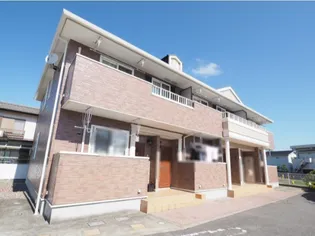 パピヨンの画像