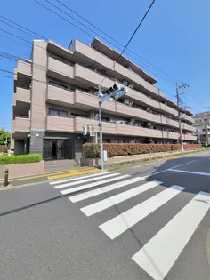 コスモ成増グランヒルの画像