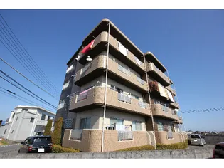 メゾン グランシャリオの画像