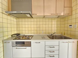 グローイングコート君津406【4階】のキッチン