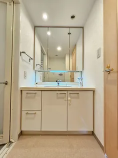 グローイングコート君津406【4階】の内装