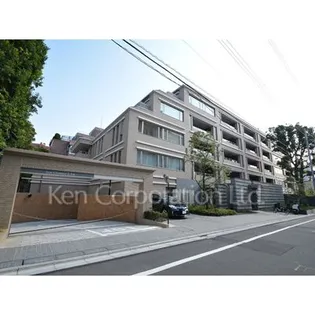 六本木プラシッドの画像