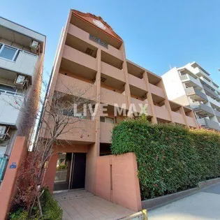 ANGEL BEETLEの画像