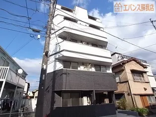 SECOND CORALの画像