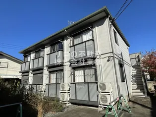 シャムロックの画像