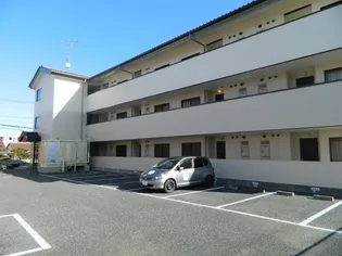 ブッシュクローバーの画像