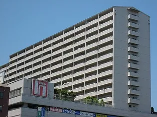 エルティの画像