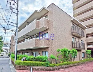 シティコート藤沢の画像