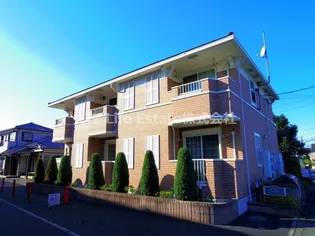 セレッソの画像