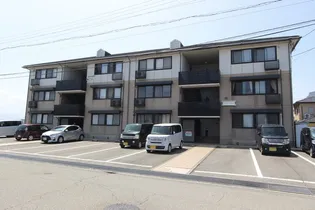 ロビュスト三栄IIの画像