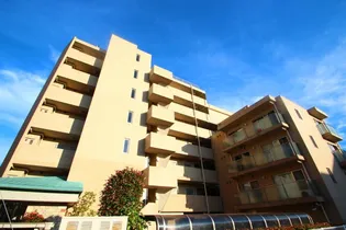 イル ニードの画像