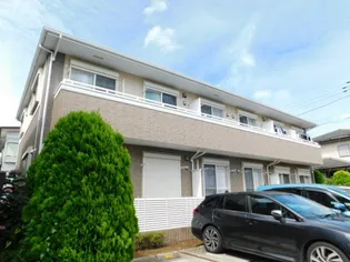 プルメリアの画像