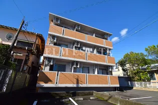 サルビスIIの画像