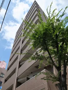 プレール ドゥーク駒沢大学駅前の画像