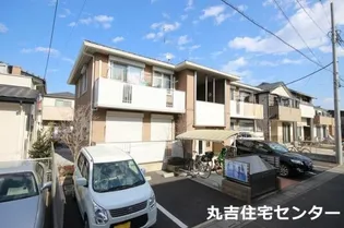 サンフラワーの画像