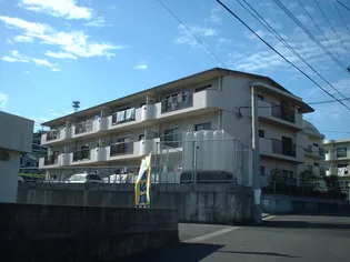 メゾン入来【3階】の外観