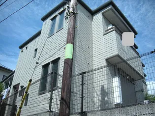 コリーナ山の根の画像