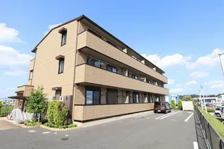 エバーグリーンの画像