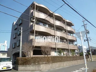 ソシエの画像