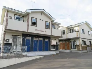 PURE FORESTII IIIの画像