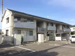 ミドルフィールドの画像