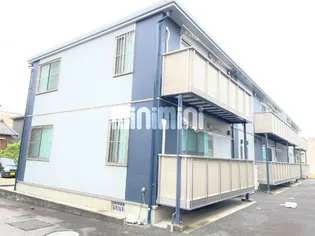 デンファーレの画像