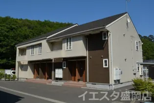 プラシードαの画像