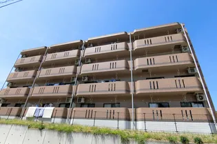 ユーミー渡邉の画像