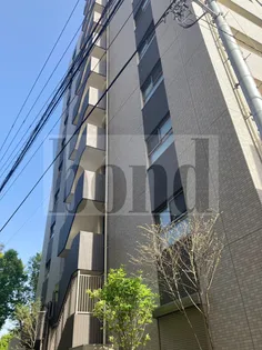 プルメリア大宮大門町の画像