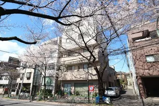 東京都中野区江古田1【マンション】の外観