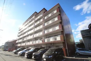 ロイヤルビュー【4階】の外観