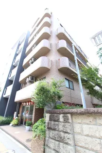 ヴィアーレ堤の画像