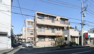 フラットペペの画像