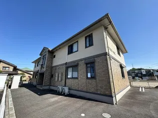 プラシードMの画像