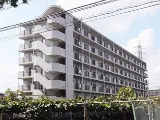 ラ ルミナールの画像