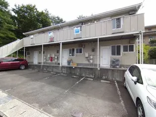 フレグランス黒松の画像