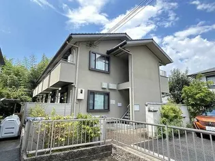 カリンの画像