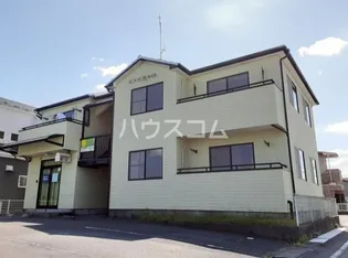 SUN FLOWERの画像