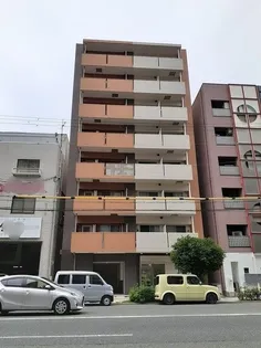 ブリッサフェリスの画像