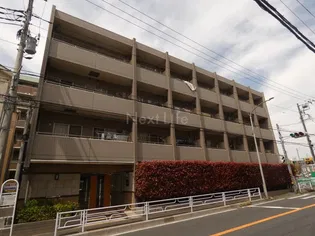 AXAS菊名LRの画像