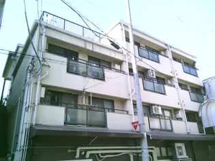 シロハイヌ春日出の画像