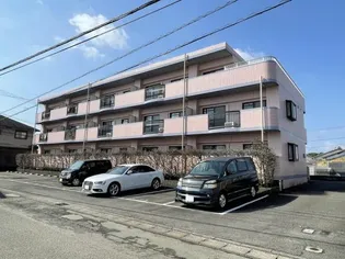 ピーチフローレⅤの画像