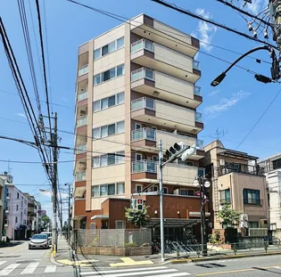 アムール鈴木の画像