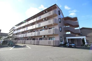 ミレニアムの画像