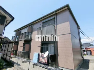 シトロンツリーY Tの画像