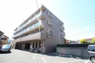 シーガル門左の画像